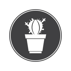 Cactus in pot icon