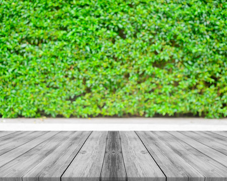 Wooden board empty table in front of blurred background. Perspective white wood over blur trees in forest - can be used for display or montage your products. spring season. vintage filtered image. © tirachard