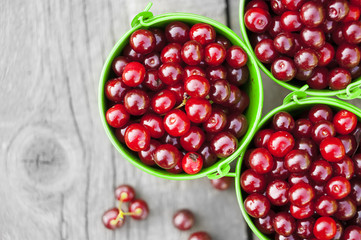 ripe juicy cherries