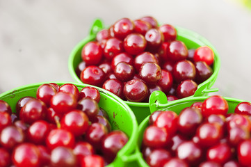 ripe juicy cherries