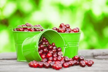 ripe juicy cherries