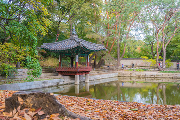 Beautiful and Old Architecture in Changdeokgung Palace in Seoul