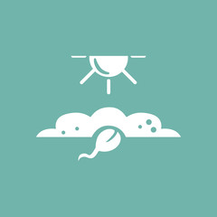Plant  grow icon