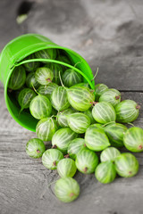 gooseberries closeup