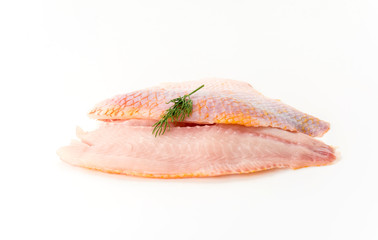 tilapia raw