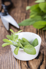 Sage (close-up shot)