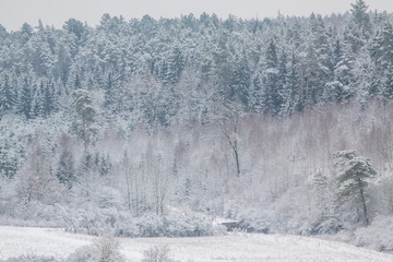Winterliche Landschaft