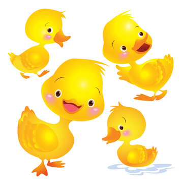 Cute duck yellow many actions