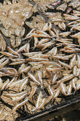 Dried fish
