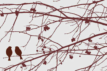 sparrows on the rowan tree