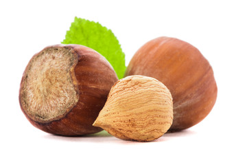 Hazelnuts and leaf isolated