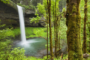 Fototapeta premium South Falls in the Silver Falls State Park, Oregon, USA