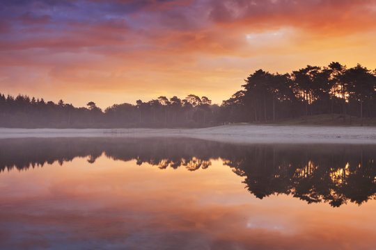 Reflections of sunrise at a quiet lake in The Netherlands