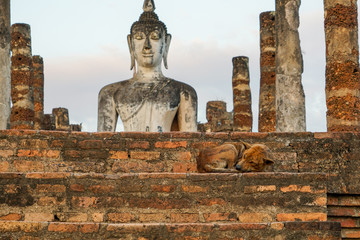 Fototapeta premium Buddha Buddhist temple ruins in Sukhothai historical park Wat Mahathat.