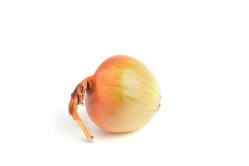 Half onion and one onion on a white background.