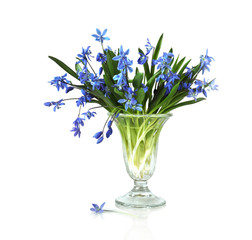 spring bouquet with blue colors on a white background