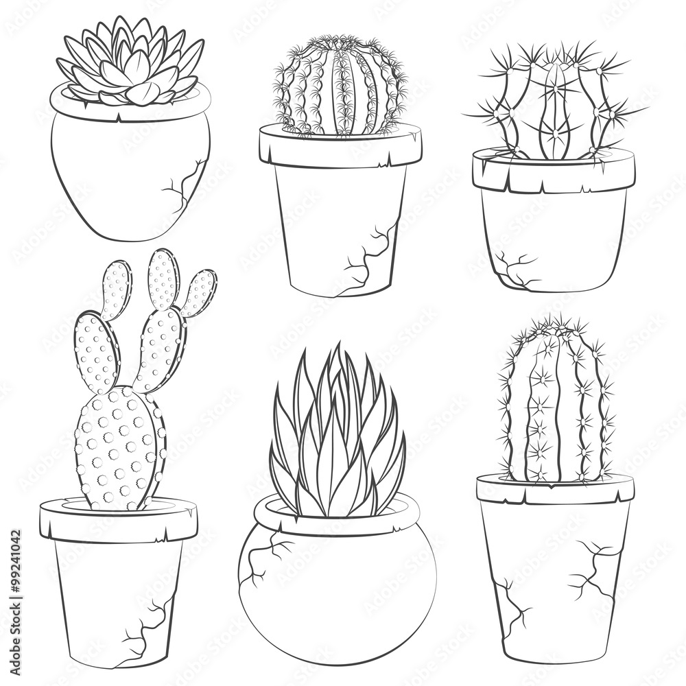 Poster collection of vector cactuses in flower pot. isolated objects.