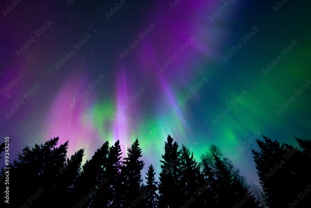 Wall mural colorful northern lights