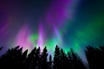 Fotobehang Kleurrijk noorderlicht © frozenmost