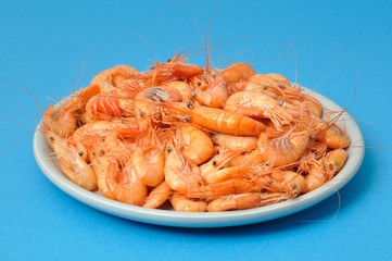 prawn Shrimp