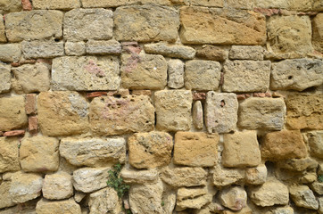 Pared de piedra
