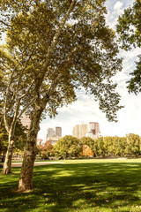 Fototapeta na wymiar New York in Autumn season