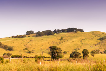 Fototapeta premium Countryside of Southern Victoria, Australia