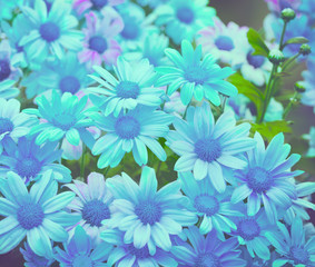 Fototapeta premium Blue vintage floral background