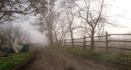 Nebel auf der Koppel