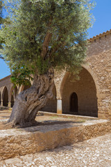 Archway in the Ayia Napa Monastery, Cyprus.