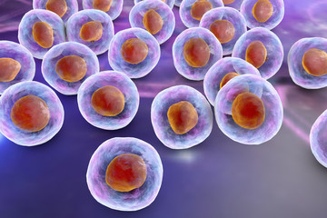 Background with cells. Human or animal cells on colorful background with cells reflections