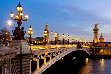 Photo sur Plexiglas Pont Alexandre III Paris, France
