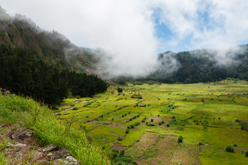 Green humid farm field with clouds in canyon of volcano Cape verde
