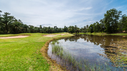 Fototapeta na wymiar Golf course with row of tree and pond
