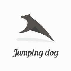 Jumping dog 