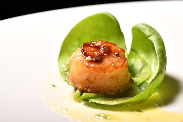 Close up Scallop seafood appetizer with spices