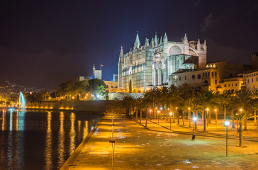 Fototapeta na wymiar Cathedral La Seu and Parc del Mar by night