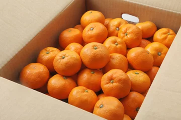 Foto auf Leinwand みかん　Mandarin orange　Mikan © Nishihama