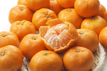 みかん　Mandarin orange　Mikan