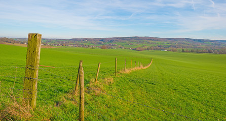 Panorama of a sunny green meadow on a hill 