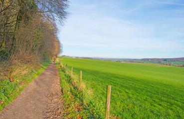 Path along a sunny meadow in winter