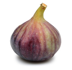 Fig