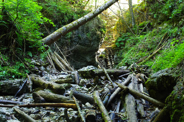 Gorge of Slovak Paradise