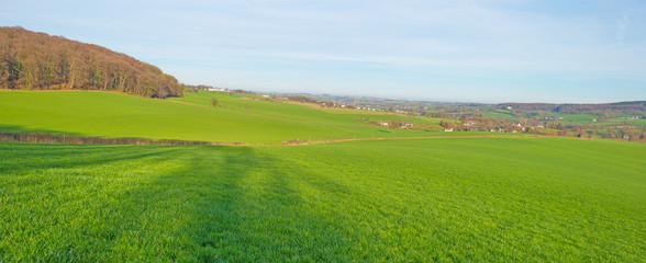 Sunny meadow on a hill in winter