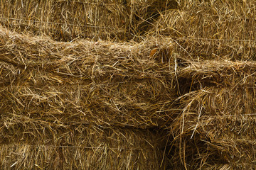 pile of straw