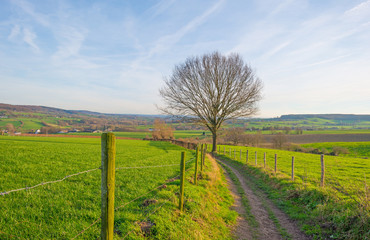 Path through sunny farmland in winter