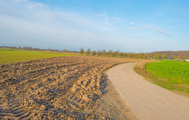 Fototapeta na wymiar Path through sunny farmland in winter