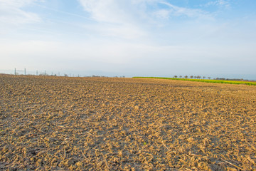 Sunny hilly plowed field in winter