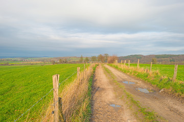 Path through sunny farmland in winter