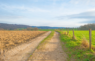 Fototapeta na wymiar Path through sunny farmland in winter